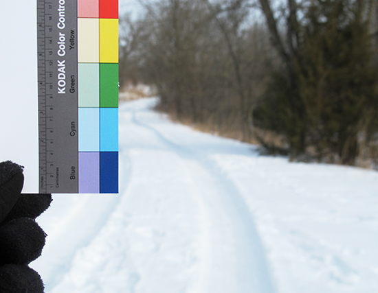 Photo of color scale in snow